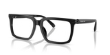 Black / Demo Lens (3005)