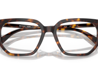 Dark Tortoise / Demo Lens (3006)