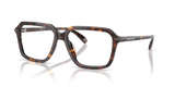 Dark Tortoise / Demo Lens (3006)