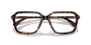 Dark Tortoise / Demo Lens (3006)