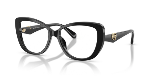 Black / Demo Lens (3005)