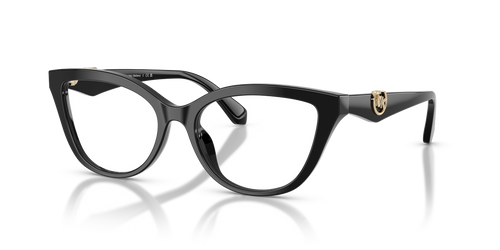 Black / Demo Lens (3005)