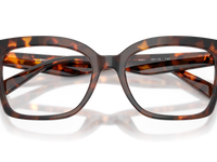 Luggage Tortoise / Demo Lens (4031)