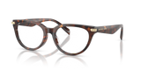 Luggage Tortoise / Demo Lens (4031)