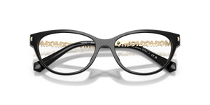 Black / Demo Lens (3005)