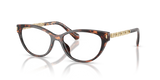 Dark Tortoise / Demo Lens (3006)