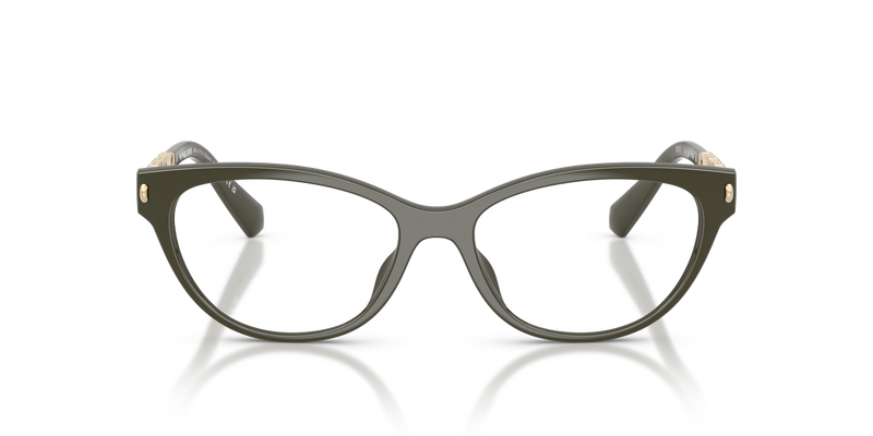 Michael Kors DOURO VALLEY in Olive / Demo Lens (3902) - Alternate View