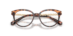 Dark Tortoise / Demo Lens (3006)