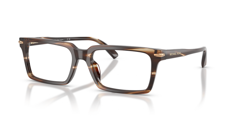 Michael Kors GRAND TARGHEE in Brown Horn / Demo Lens (4039) - Alternate View