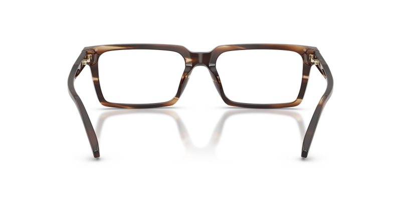 Michael Kors GRAND TARGHEE in Brown Horn / Demo Lens (4039) - Alternate View