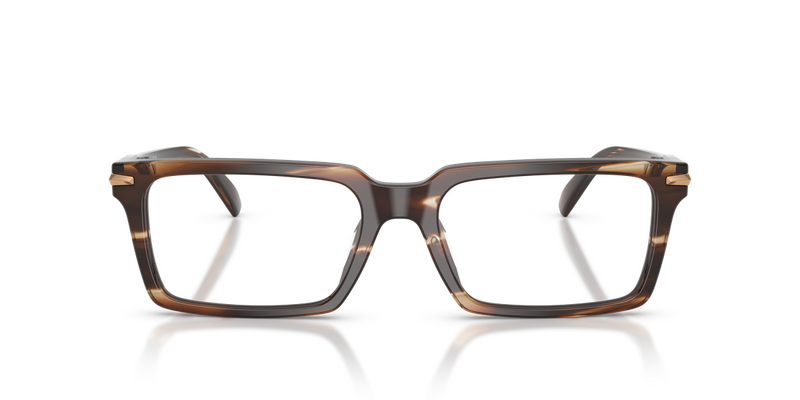 Michael Kors GRAND TARGHEE in Brown Horn / Demo Lens (4039) - Alternate View