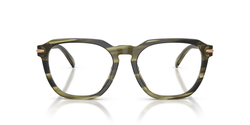 Michael Kors WOLF CREEK in Olive Horn / Demo Lens (4040) - Alternate View