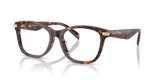Luggage Tortoise / Demo Lens (4031)