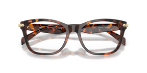 Luggage Tortoise / Demo Lens (4031)