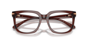 Brown Transparent / Demo Lens (3401)