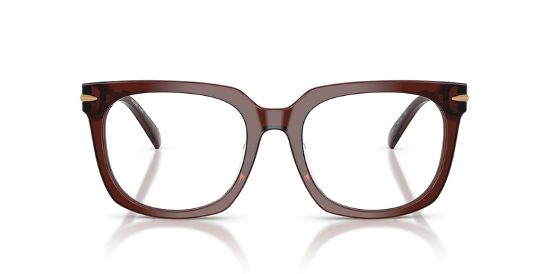 Michael Kors ONTARIO in Brown Transparent / Demo Lens (3401) - Alternate View