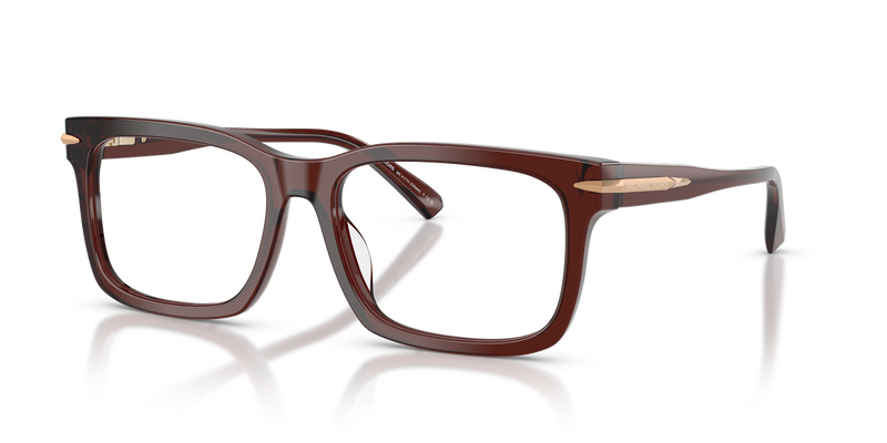 Michael Kors OTTAWA in Brown Transparent / Demo Lens (3401) - Alternate View