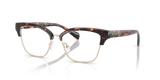 Dark Tortoise / Demo Lens (3006)