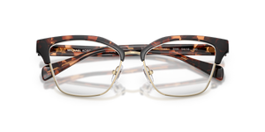 Dark Tortoise / Demo Lens (3006)