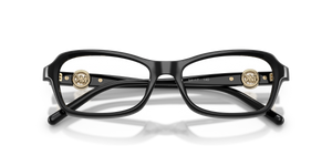 Black / Demo Lens (3005)
