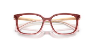 Rosewood / Demo Lens (3913)