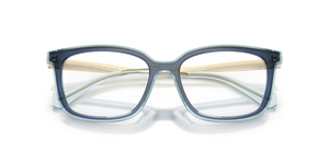 Navy / Demo Lens (4031)