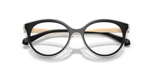 Black / Demo Lens (3005)
