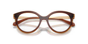 Dark Brown / Demo Lens (3113)