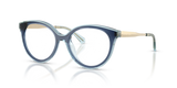Navy / Demo Lens (4031)