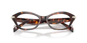Luggage Tortoise / Demo Lens (4031)