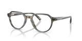 Charcoal Horn / Demo Lens (4047)