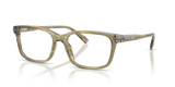 Olive Horn / Demo Lens (4040)