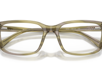 Olive Horn / Demo Lens (4040)