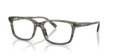 Charcoal Horn / Demo Lens (4047)