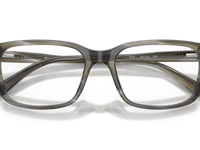 Charcoal Horn / Demo Lens (4047)