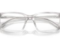 Grey Horn / Demo Lens (4049)