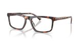 Dark Tortoise / Demo Lens (3006)