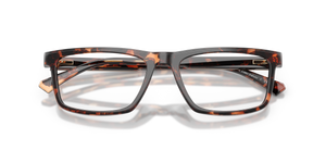 Dark Tortoise / Demo Lens (3006)