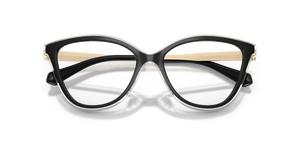 Black / Demo Lens (3005)