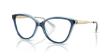 Navy / Demo Lens (4031)