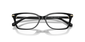 Black / Demo Lens (3005)
