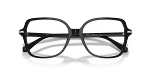 Black / Demo Lens (3005)