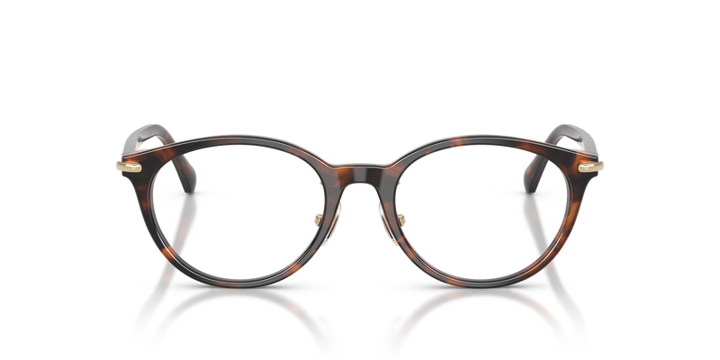 Michael Kors DARJEELING in Mahogany Tortoise - Alternate View