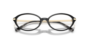 Black / Demo Lens (3005)