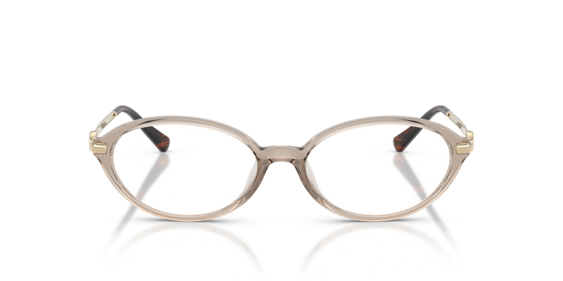 Michael Kors KENSINGTON in Beige Transparent - Alternate View