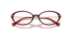 Dark Red Transparent / Demo Lens (3949)