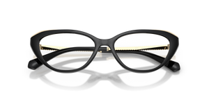 Black / Demo Lens (3005)