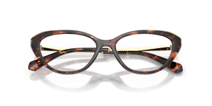 Luggage Tortoise / Demo Lens (4031)