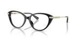 Black / Demo Lens (3005)