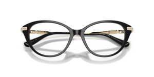 Black / Demo Lens (3005)